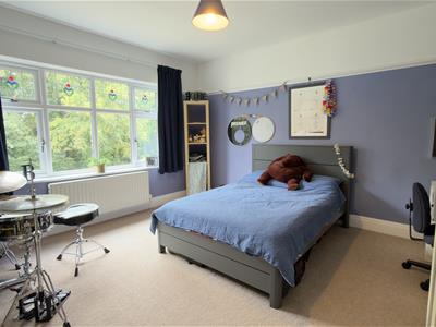 Picture 23